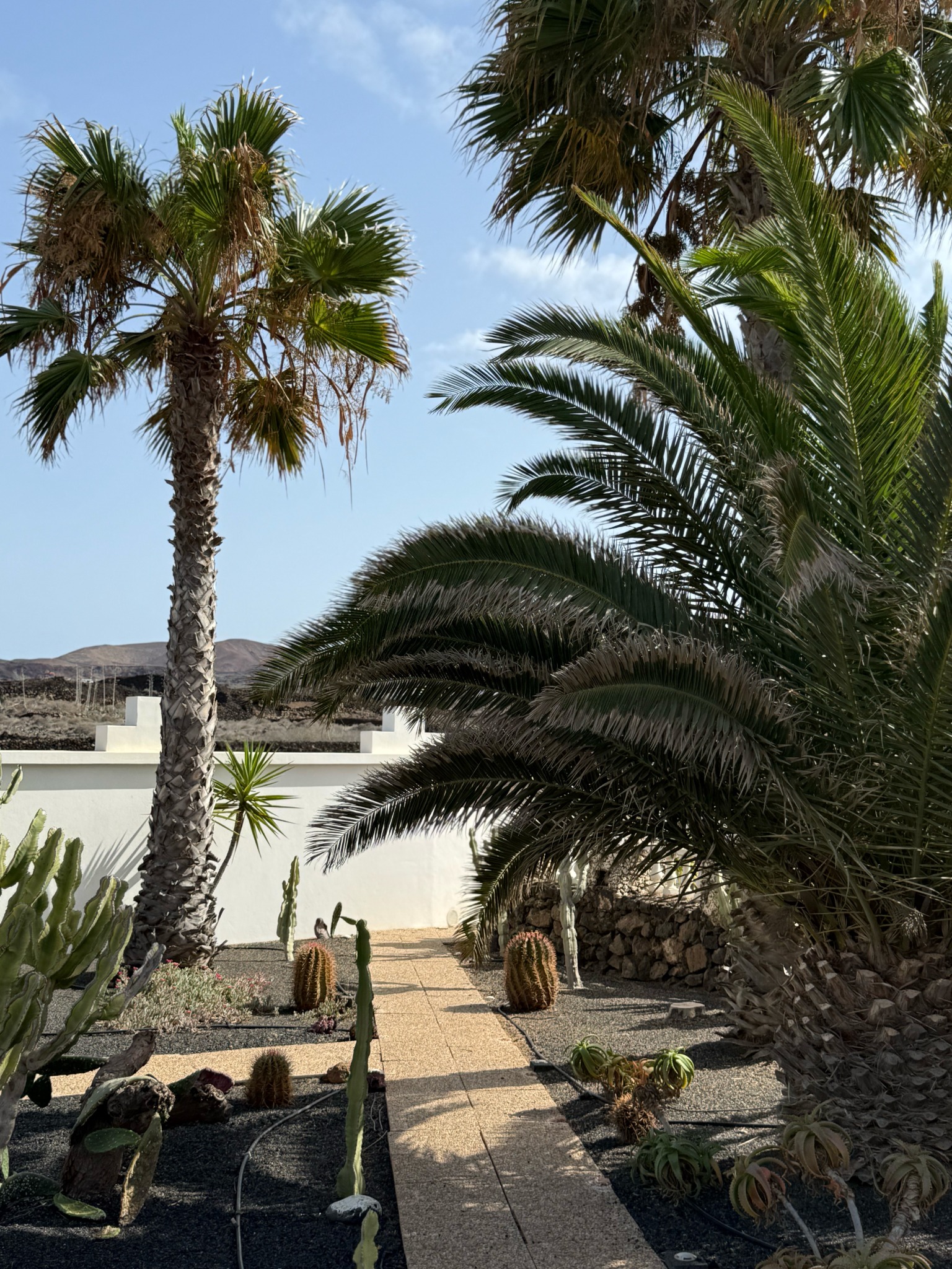 Garten der Villa